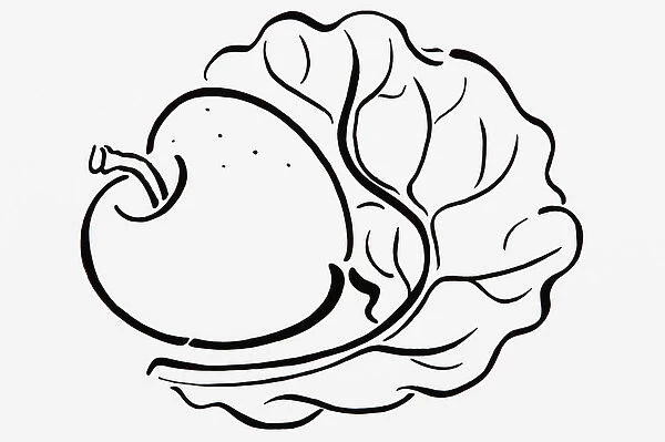 Simple black and white line drawing of apple and lettuce leaf