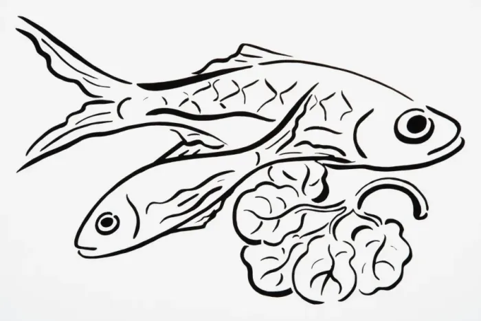 Framed Print : Simple line drawing of freshly caught fish, and lettuce leaf Framed Print : Simple line drawing of freshly caught fish, and lettuce leaf
