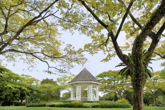 Framed Print : Singapore botanic gardens Framed Print : Singapore botanic gardens