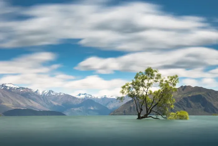 Framed Print : single tree at Lake Wanaka