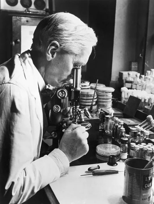 Framed Print : Sir Alexander Fleming in Laboratory Framed Print : Sir Alexander Fleming in Laboratory