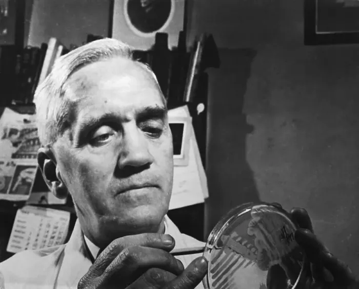 Framed Print : Sir Alexander Fleming in His Laboratory Framed Print : Sir Alexander Fleming in His Laboratory