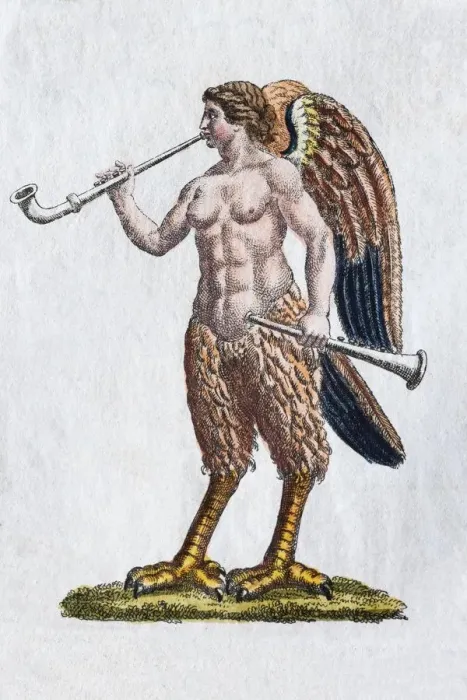 Framed Print : Siren, hand - colored copper engraving from Friedrich Justin Bertuch Picture book for children Framed Print : Siren, hand - colored copper engraving from Friedrich Justin Bertuch Picture book for children
