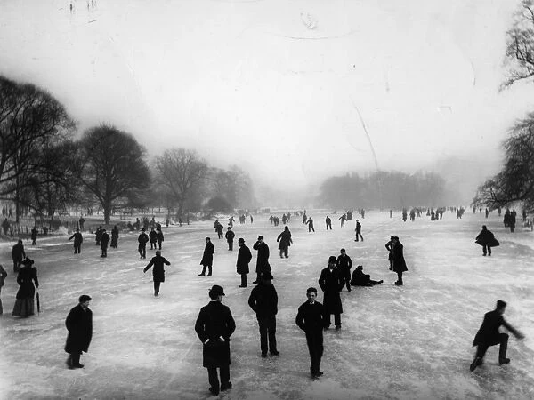 Skating. February 1895: Crowd taking advantage of the skating conditions