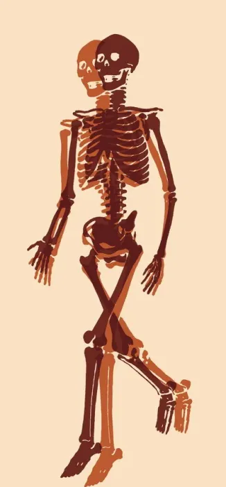 Framed Print : Skeleton. http: / / csaimages.com / images / istockprofile / csa_vector_dsp.jpg Framed Print : Skeleton. http: / / csaimages.com / images / istockprofile / csa_vector_dsp.jpg