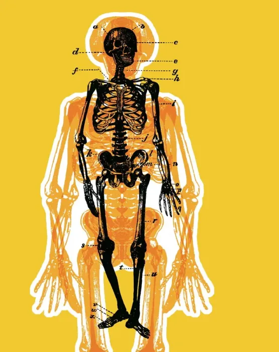 Framed Print : Skeleton. http: / / csaimages.com / images / istockprofile / csa_vector_dsp.jpg Framed Print : Skeleton. http: / / csaimages.com / images / istockprofile / csa_vector_dsp.jpg