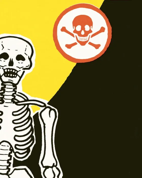 Framed Print : Skeleton. http: / / csaimages.com / images / istockprofile / csa_vector_dsp.jpg Framed Print : Skeleton. http: / / csaimages.com / images / istockprofile / csa_vector_dsp.jpg
