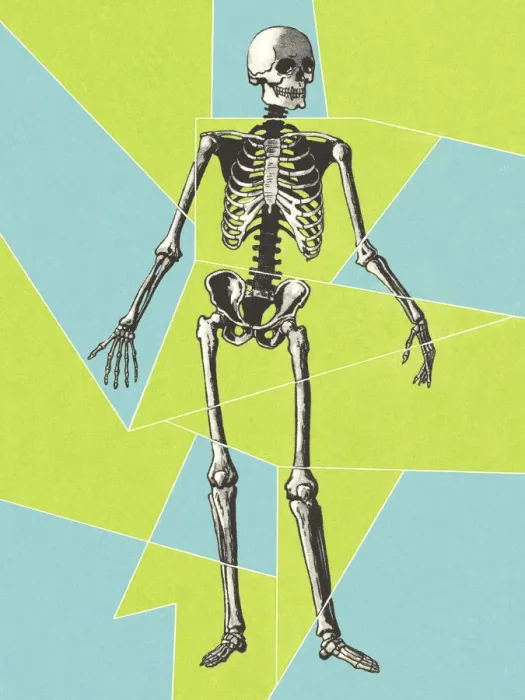 Framed Print : Skeleton Framed Print : Skeleton