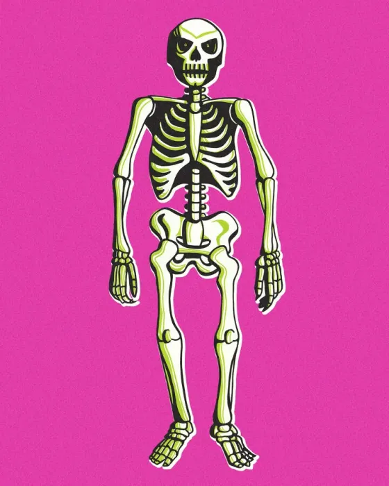 Framed Print : Skeleton Framed Print : Skeleton