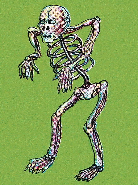 Skeleton Illustration on green backgroun