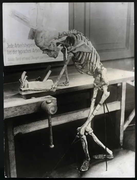 Framed Print : Skeleton Planing At A Carpenter'S Bench Framed Print : Skeleton Planing At A Carpenter'S Bench