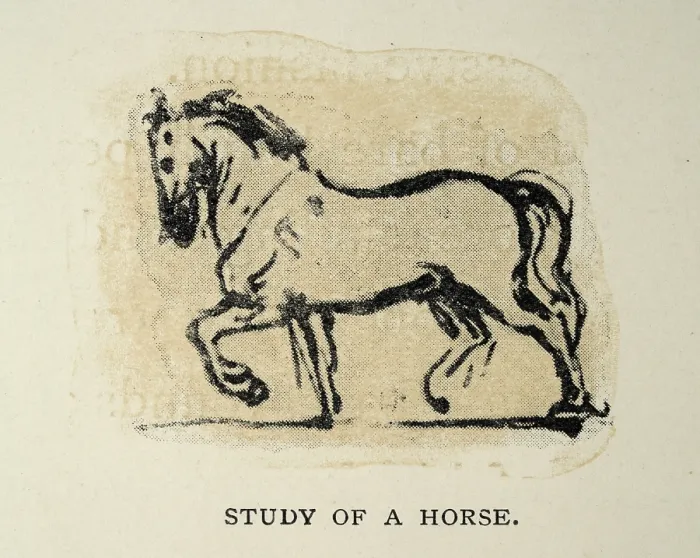 Framed Print : Sketch by Leonardo da Vinci, renaissance art, Study of a horse Framed Print : Sketch by Leonardo da Vinci, renaissance art, Study of a horse