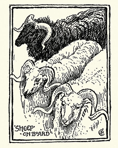Sketch of Sheep, Greece, 19th Century, Walter Crane