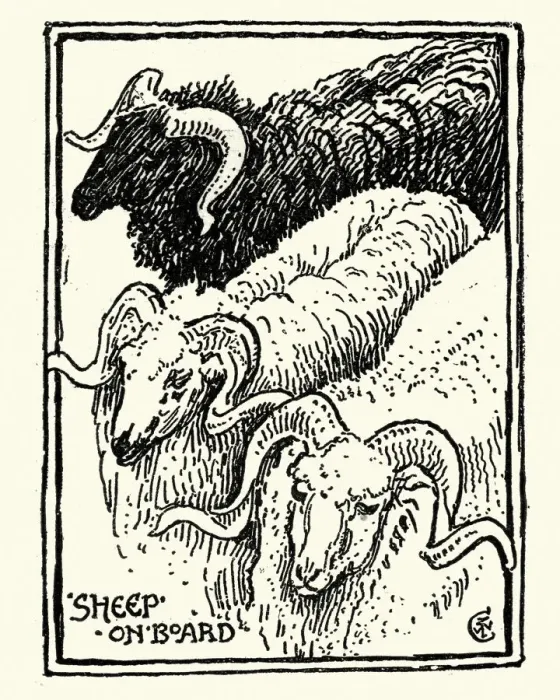 Framed Print : Sketch of Sheep, Greece, 19th Century, Walter Crane Framed Print : Sketch of Sheep, Greece, 19th Century, Walter Crane