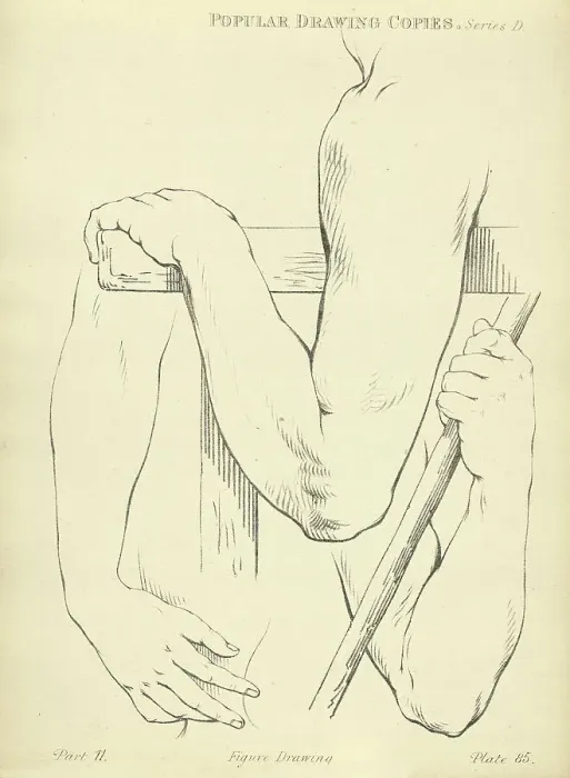 Framed Print : Sketching and drawing the human arm and elbow, Victorian art figure drawing copies 19th Century Framed Print : Sketching and drawing the human arm and elbow, Victorian art figure drawing copies 19th Century