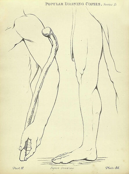 Sketching and drawing the human arm and leg, Victorian art figure drawing copies 19th Century
