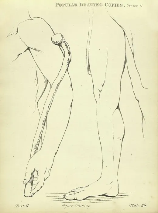 Framed Print : Sketching and drawing the human arm and leg, Victorian art figure drawing copies 19th Century Framed Print : Sketching and drawing the human arm and leg, Victorian art figure drawing copies 19th Century