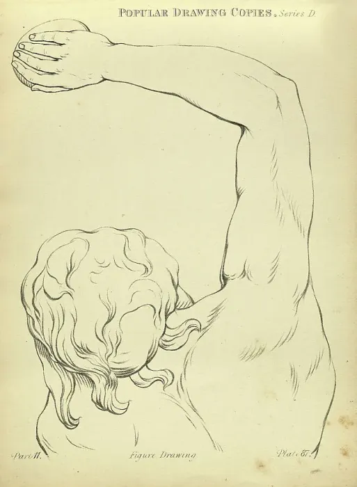 Framed Print : Sketching and drawing the human arm and shoulder, Victorian art figure drawing copies 19th Century Framed Print : Sketching and drawing the human arm and shoulder, Victorian art figure drawing copies 19th Century
