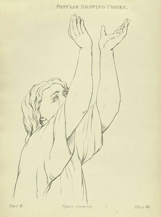 Framed Print : Sketching and drawing the human arms raised, catching, Victorian art figure drawing copies 19th Century Framed Print : Sketching and drawing the human arms raised, catching, Victorian art figure drawing copies 19th Century