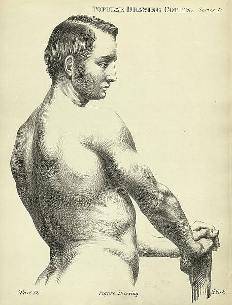 Sketching, drawing the human back, young man, life study, Victorian art figure drawing copies 19th Century