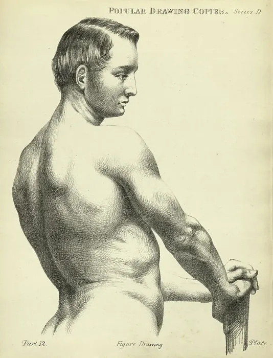 Framed Print : Sketching, drawing the human back, young man, life study, Victorian art figure drawing copies 19th Century Framed Print : Sketching, drawing the human back, young man, life study, Victorian art figure drawing copies 19th Century