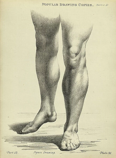 Sketching, drawing the human legs, feet, young man, life study, Victorian art figure drawing copies 19th Century