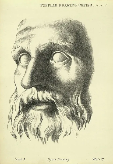 Framed Print : Sketching human face, detail of mature man's face, flowing beard moustache, Victorian art figure drawing copies 19th Century Framed Print : Sketching human face, detail of mature man's face, flowing beard moustache, Victorian art figure drawing copies 19th Century