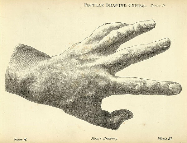 Sketching human hand, back with fingers spread, Victorian art figure drawing copies 19th Century