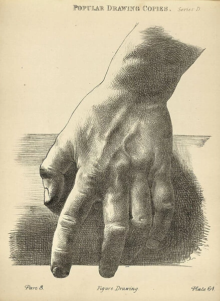 Sketching human hand, grip pressing down, Victorian art figure drawing copies 19th Century