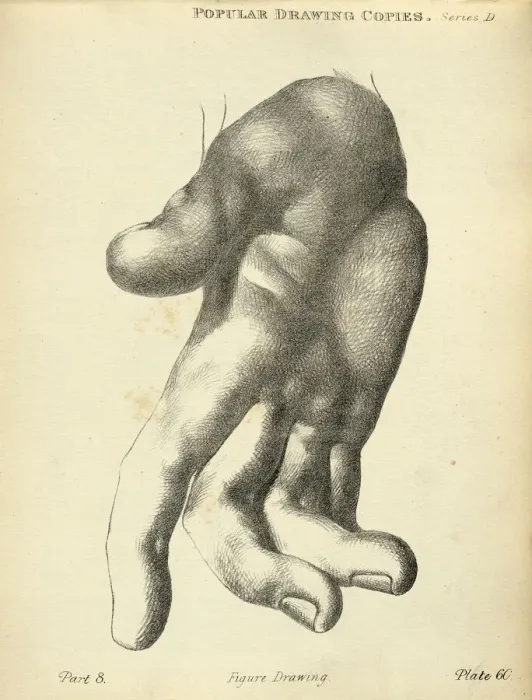 Framed Print : Sketching human hand, palm, open fingers, Victorian art figure drawing copies 19th Century Framed Print : Sketching human hand, palm, open fingers, Victorian art figure drawing copies 19th Century