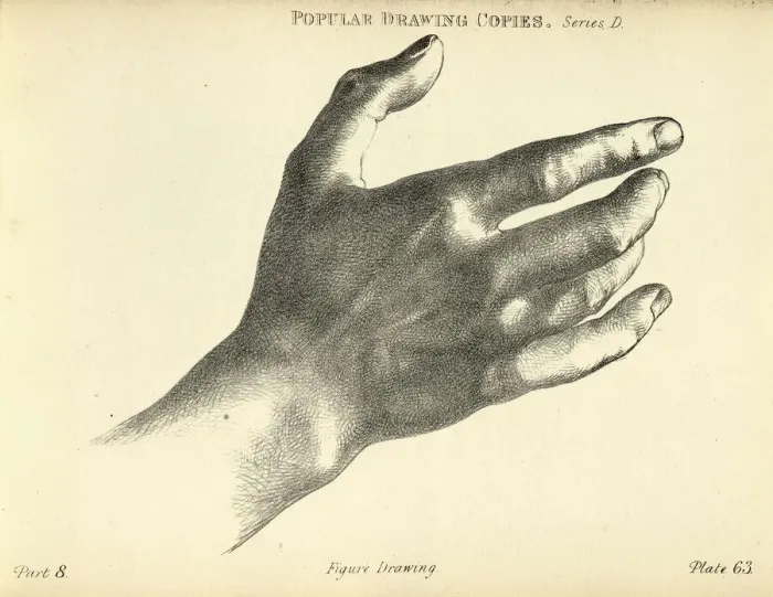 Framed Print : Sketching human hand, wrist and fingers, Victorian art figure drawing copies 19th Century Framed Print : Sketching human hand, wrist and fingers, Victorian art figure drawing copies 19th Century