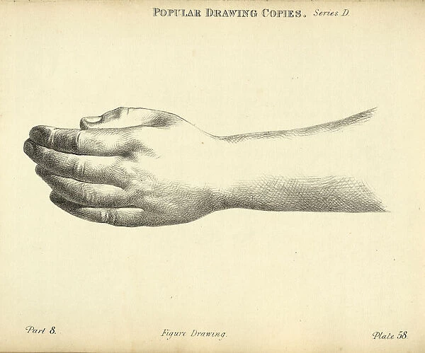 Sketching human hand and wrist, Victorian art figure drawing copies 19th Century