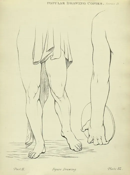 Framed Print : Sketching human leg and arm, Victorian art figure drawing copies 19th Century Framed Print : Sketching human leg and arm, Victorian art figure drawing copies 19th Century