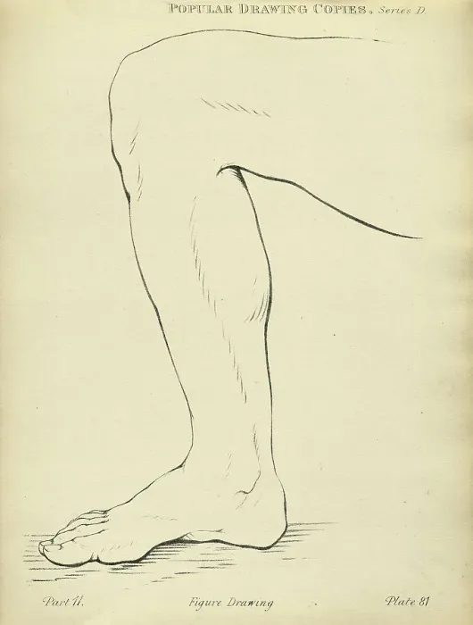 Framed Print : Sketching human leg, Victorian art figure drawing copies 19th Century Framed Print : Sketching human leg, Victorian art figure drawing copies 19th Century