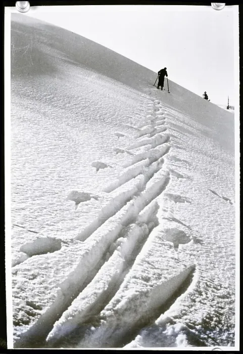 Framed Print : Ski Tracks in Snow Framed Print : Ski Tracks in Snow
