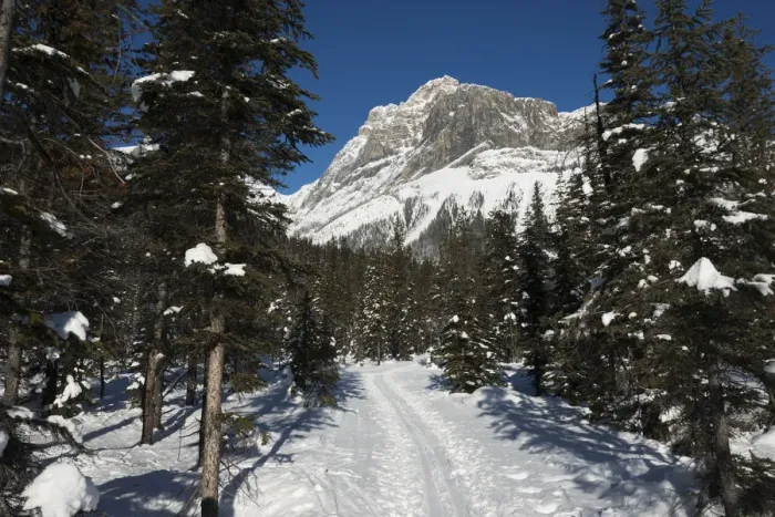Framed Print : Ski trail in Yoho National Park Framed Print : Ski trail in Yoho National Park