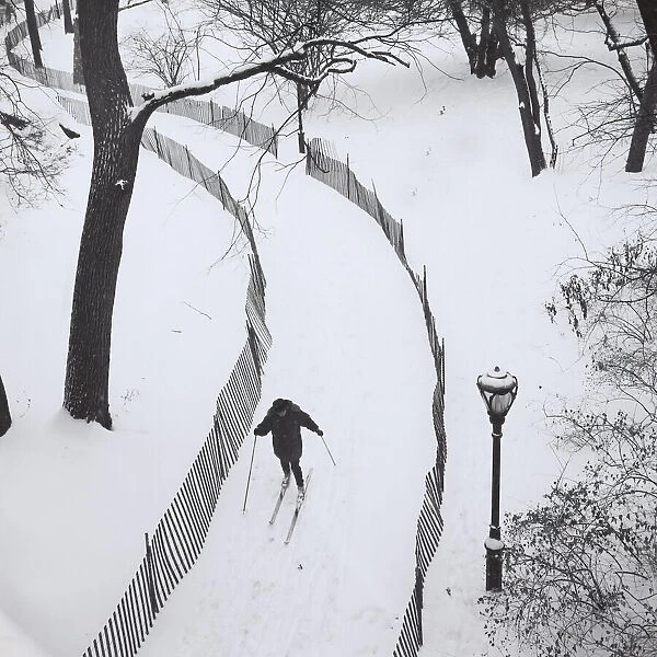 Skier in Central Park, New York City