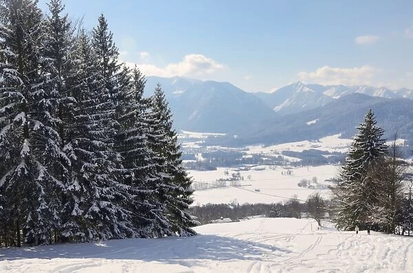 Skiing tracks, wedeln, above Leizachtal Valley on a sunny winters day, Leitzachtal, bei Elbach, Upper Bavaria, Bavaria, Germany