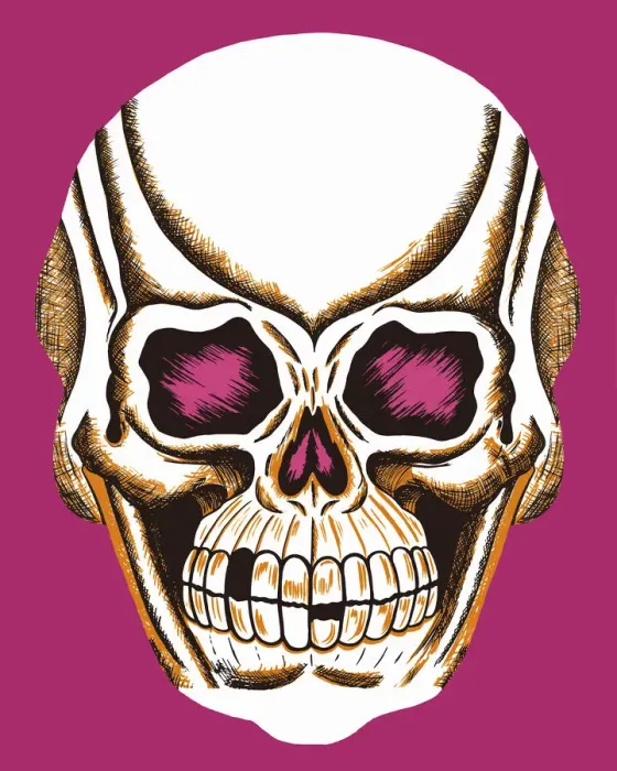 Framed Print : Skull Framed Print : Skull