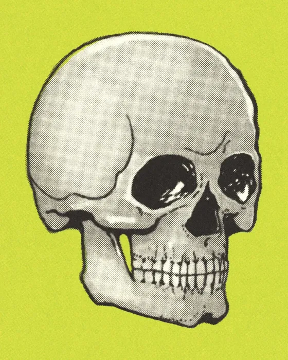 Framed Print : Skull Framed Print : Skull