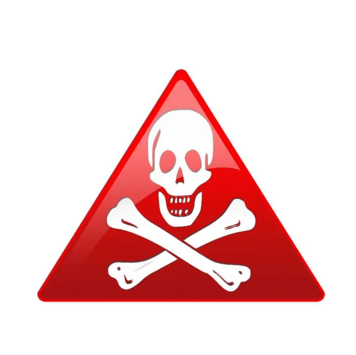 Framed Print : Skull and crossbones Framed Print : Skull and crossbones