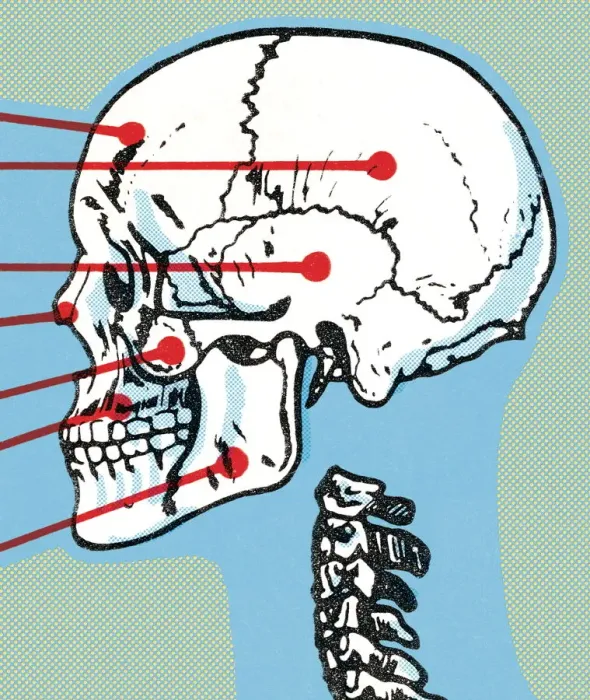 Framed Print : Skull and spine