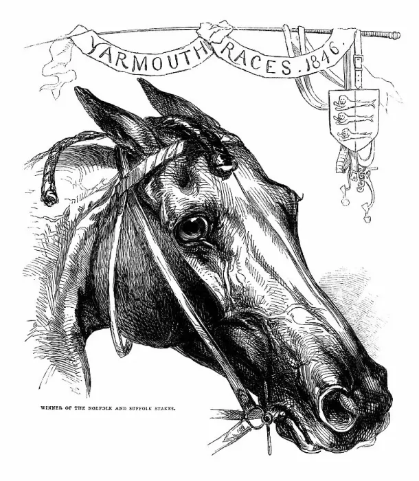 Framed Print : Slander - Winner of the Norfolk and Suffolk Stakes, Great Yarmouth Races, 1846 Framed Print : Slander - Winner of the Norfolk and Suffolk Stakes, Great Yarmouth Races, 1846