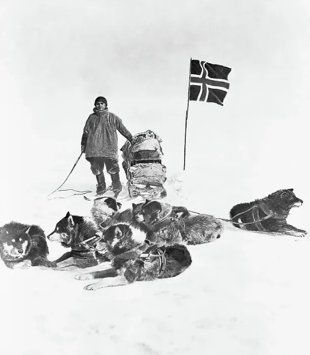Framed Print : Sled Dogs and Member of Amundsen Expedition Framed Print : Sled Dogs and Member of Amundsen Expedition