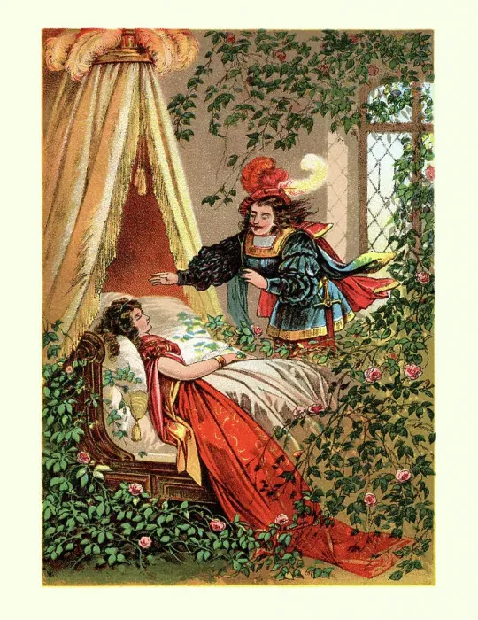 Framed Print : Sleeping Beauty fairy tale Framed Print : Sleeping Beauty fairy tale
