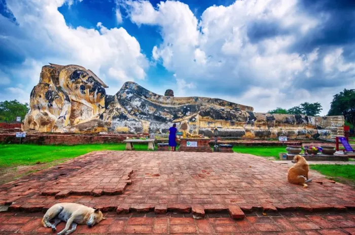 Framed Print : Sleeping Buddha and sleeping dog Framed Print : Sleeping Buddha and sleeping dog