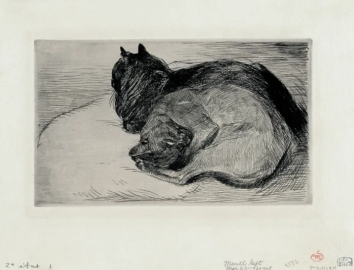 Framed Print : Two sleeping cats Framed Print : Two sleeping cats