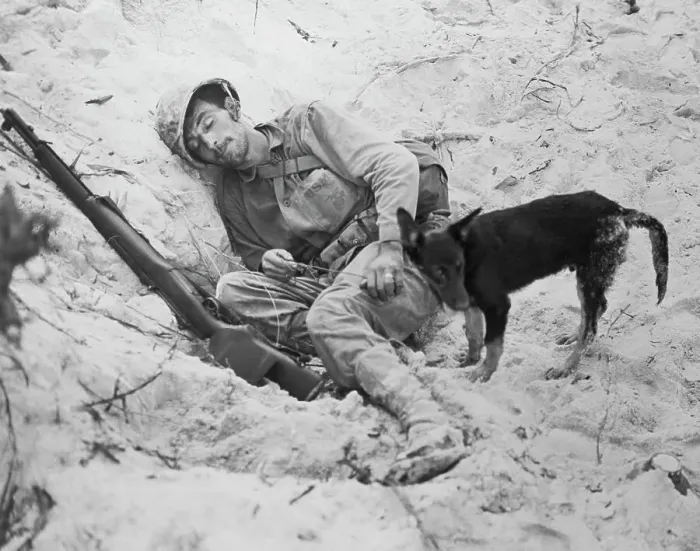 Framed Print : Sleeping Soldier with Dog Standing Guard Framed Print : Sleeping Soldier with Dog Standing Guard
