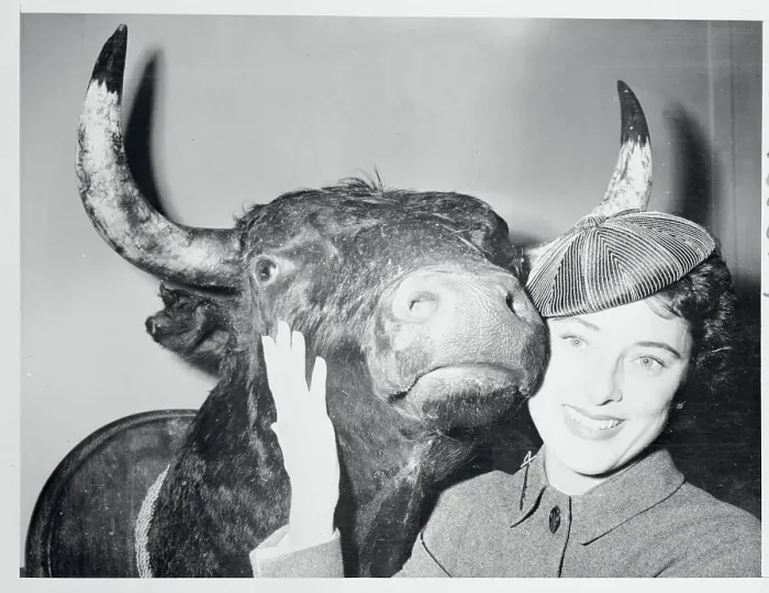 Framed Print : Sloan Simpson Posing with a Bull's Head