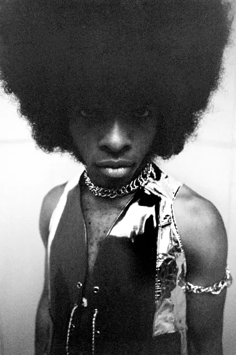 Framed Print : Sly Stone Portrait
